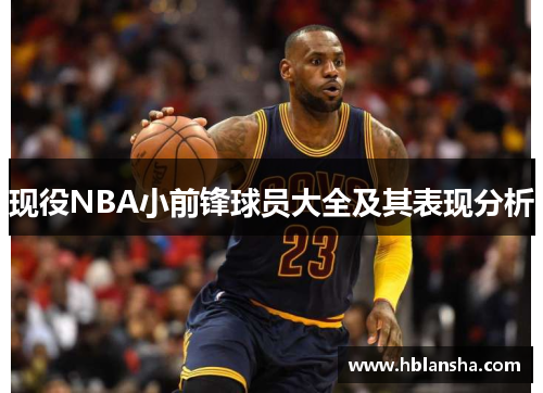 现役NBA小前锋球员大全及其表现分析