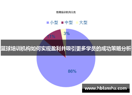 篮球培训机构如何实现盈利并吸引更多学员的成功策略分析